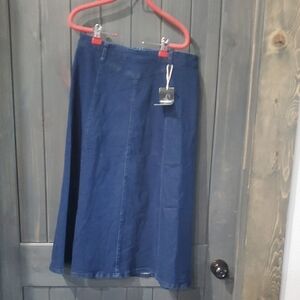 Chic Blue A-Line Denim Skirt